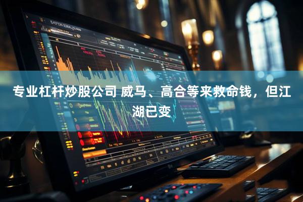 专业杠杆炒股公司 威马、高合等来救命钱，但江湖已变