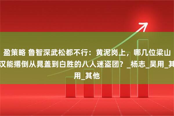 盈策略 鲁智深武松都不行：黄泥岗上，哪几位梁山好汉能撂倒从晁盖到白胜的八人迷盗团？_杨志_吴用_其他